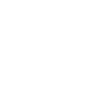 scale-icon